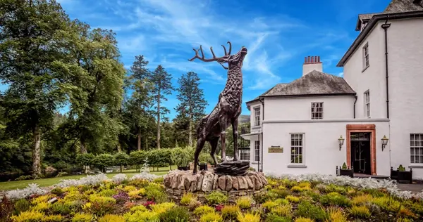 Dunkeld House Hotel Stag 2
