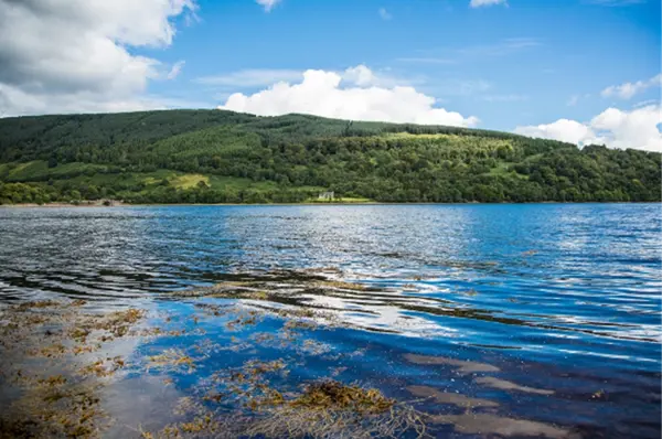 Loch Fyne (1)