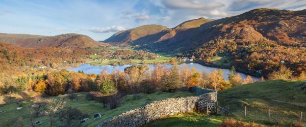 Where and When to See the Leaves Turn in the Lake District ?? ''