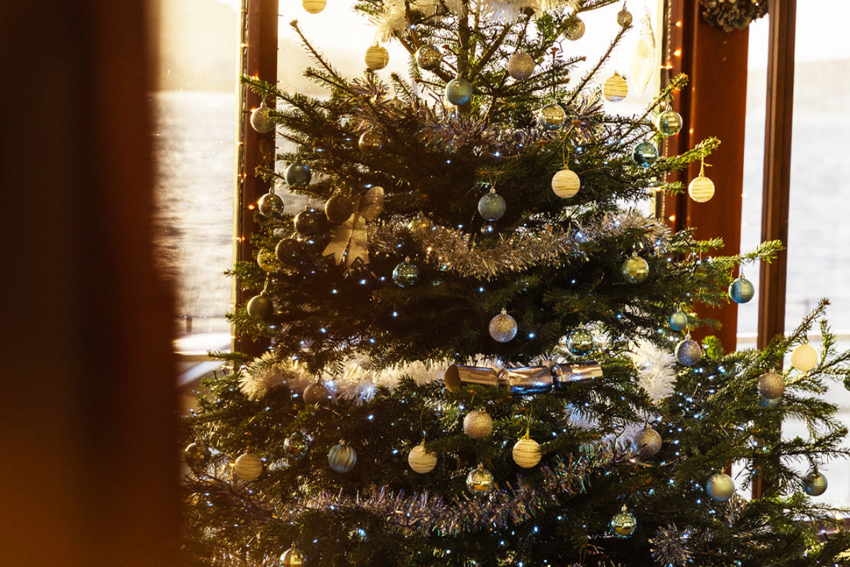 OB Xmas Tree