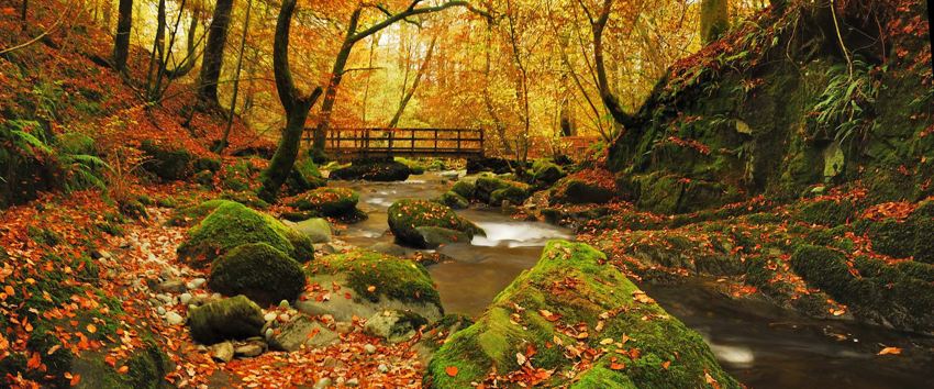 Autumn Walks in the Lake District ?? ''