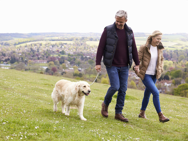 dog friendly staycation destinations uk ?? ''