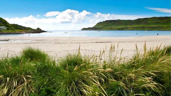 Calgary Bay 2