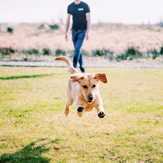 Isle Of Mull Hotel And Spa Wilderness Spa 3983