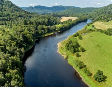 Conserve Perthshire’s Trees ?? ''