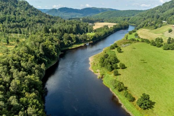Conserve Perthshire’s Trees ?? ''