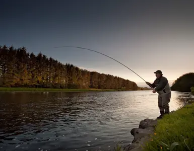 Fishing In Aberdeen ?? ''