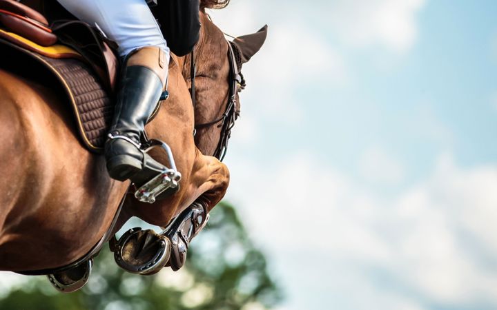 Equestrian