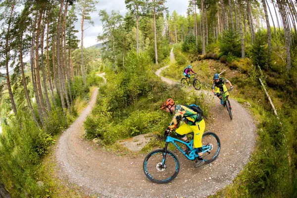 Xlaggan Wolftrax 624