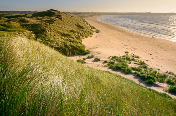 Walks in Aberdeenshire ?? ''