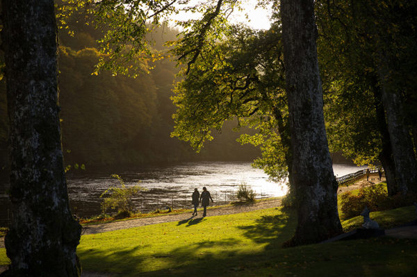 perthshire big trees ?? ''