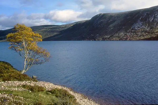 Loch Muick Geograph Org Uk 927593