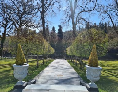 Dunkeld House Gardens ?? ''