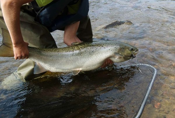salmon fishing perthshire ?? ''